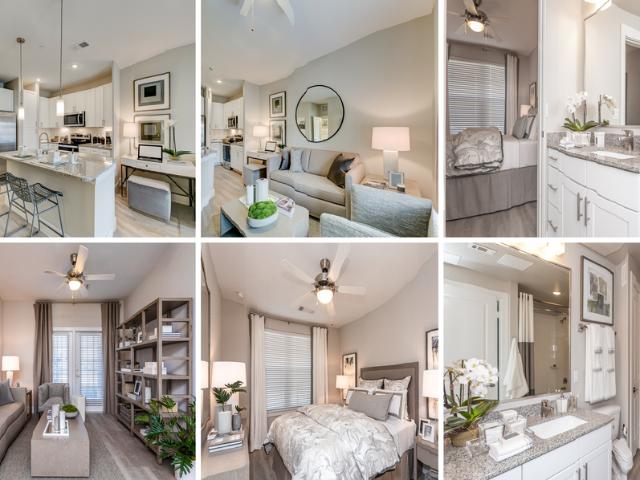 1 BR, 1 BA Apartment 545 Creekside Crossing, New Braunfels, TX 78130