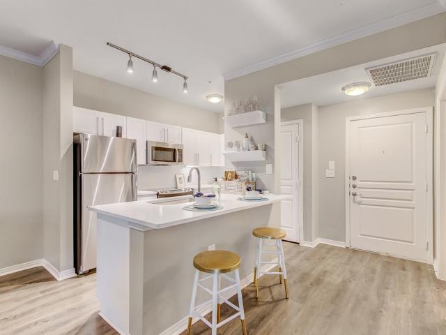 1 BR, 1 BA Apartment 5555 East Mockingbird Lane Unit 3424, Dallas, TX 75206