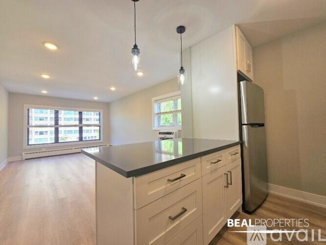 1 BR, 1 BA Apartment 555 W Stratford Pl, Unit 1 bed, Chicago, IL 60657