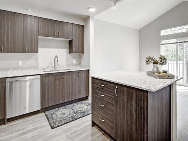 1 BR, 1 BA Apartment 558 121st Place Unit 502 C1, Bellevue, WA 98005