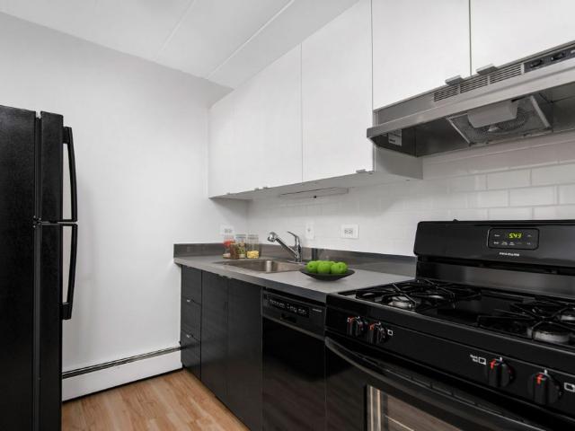 1 BR, 1 BA Apartment 500 W Belmont Unit 5F, Chicago, IL 60657