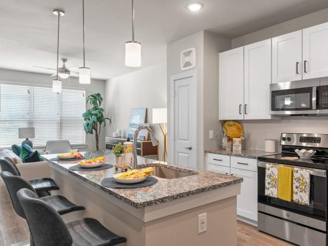 1 BR, 1 BA Apartment 509 Nursery Road Unit 2417, Spring, TX 77380