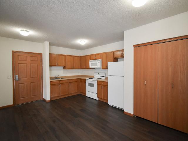 1 BR, 1 BA Apartment 510 Sibley Street Unit 211, Saint Paul, MN 55101