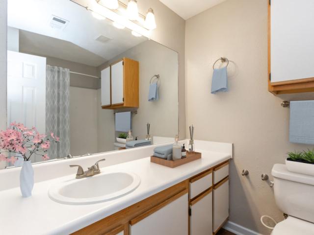 1 BR, 1 BA Apartment 51 Northtown Drive Unit 020A, Jackson, MS 39211