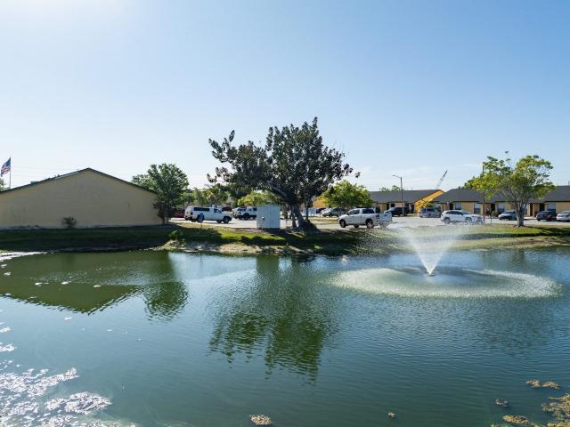 1 BR, 1 BA Apartment 5200 5200 Springwood Boulevard N Unit 5231, Pinellas Park, FL 33782