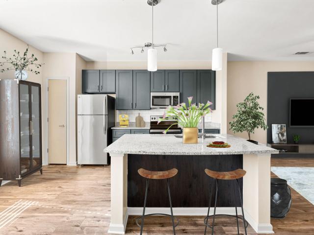 1 BR, 1 BA Apartment 520 Martin Luther King Jr Blvd Unit 218, Macon, GA 31201