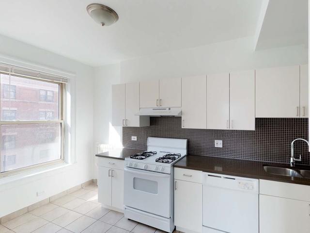 1 BR, 1 BA Apartment 5242 South Hyde Park Boulevard Unit 0502, Chicago, IL 60615