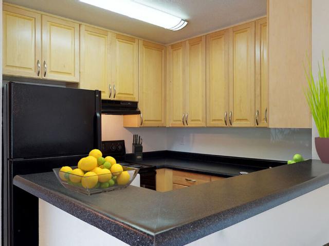 1 BR, 1 BA Apartment 5378 Clayton Road Unit 84E, Concord, CA 94521
