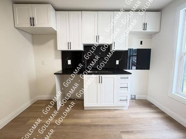 1 BR, 1 BA Apartment 643 Pierre Avenue, Windsor, ON N9A 2K3