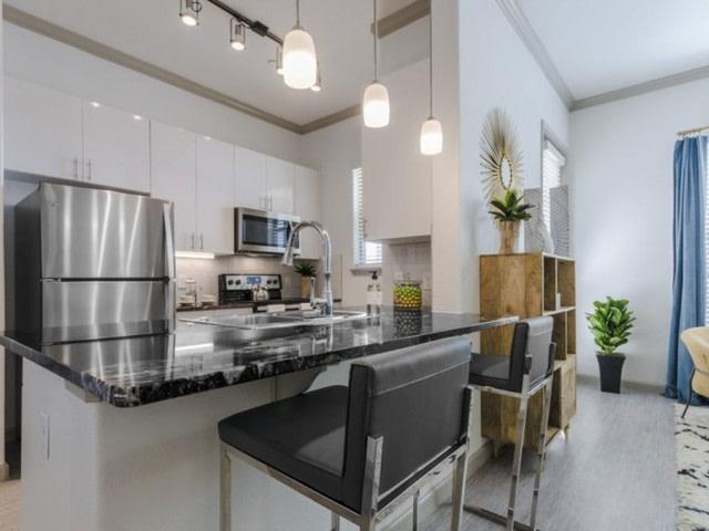 1 BR, 1 BA Apartment 6221 Naaman Forest Blvd Unit 4303, Garland, TX 75044