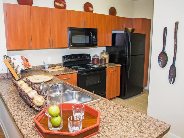 1 BR, 1 BA Apartment 630 Colony Lake Estates Drive Unit 0732, Stafford, TX 77477