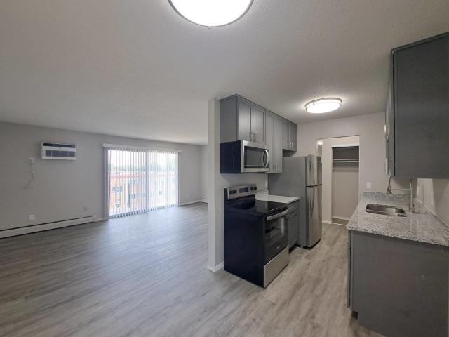 1 BR, 1 BA Apartment 631 East 77th Street Unit 307, Minneapolis, MN 55423