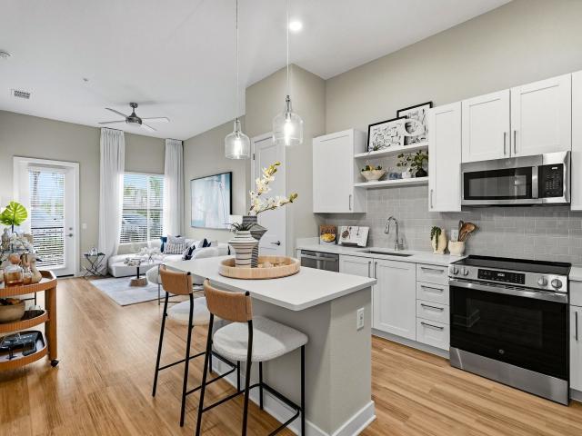 1 BR, 1 BA Apartment 7405 Universal Blvd Unit 5108, Orlando, FL 32819