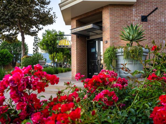 1 BR, 1 BA Apartment 700 South Myrtle Avenue Unit 239, Monrovia, CA 91016
