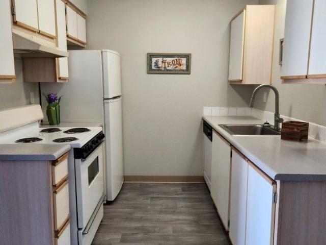 1 BR, 1 BA Apartment 701 43rd Ave SE Unit 1 bed, 1 bath, $1353, Puyallup, WA 98374