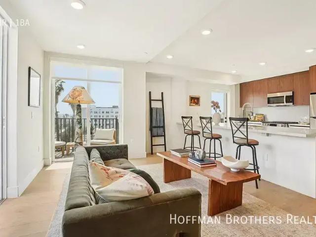 1 BR, 1 BA Apartment 707 S Berendo St, Los Angeles, CA 90005
