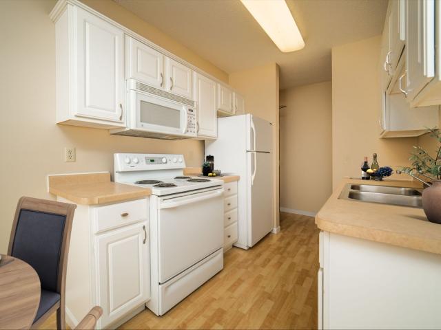1 BR, 1 BA Apartment 723 Kenwood Avenue Unit 306, Duluth, MN 55811