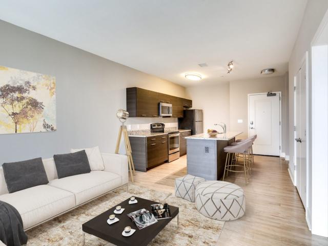 1 BR, 1 BA Apartment 727 West 40th Street Unit A113, Baltimore, MD 21211