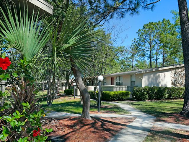 1 BR, 1 BA Apartment 7241 Old Kings Rd S Unit 1310, Jacksonville, FL 32217