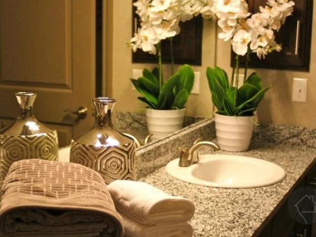 1 BR, 1 BA Apartment 7301 N FM 620, Austin, TX 78726
