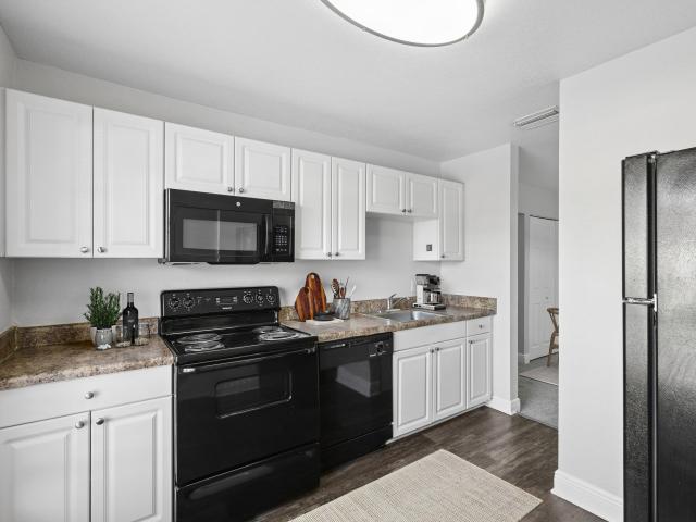 1 BR, 1 BA Apartment 8402 N Waterford Ave Unit 17P6, Tampa, FL 33604
