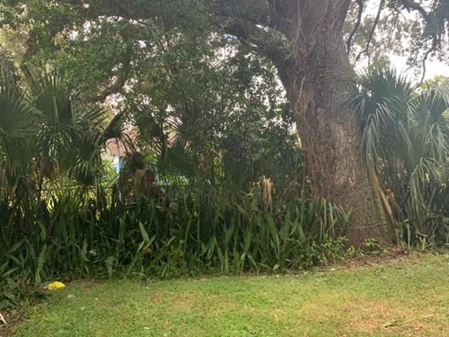 1 BR, 1 BA Apartment 8500 North Alaska Street, Unit B, Tampa, FL 33604