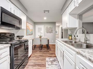 1 BR, 1 BA Apartment 8802 Cinnamon Creek Drive Unit 1604, San Antonio, TX 78240