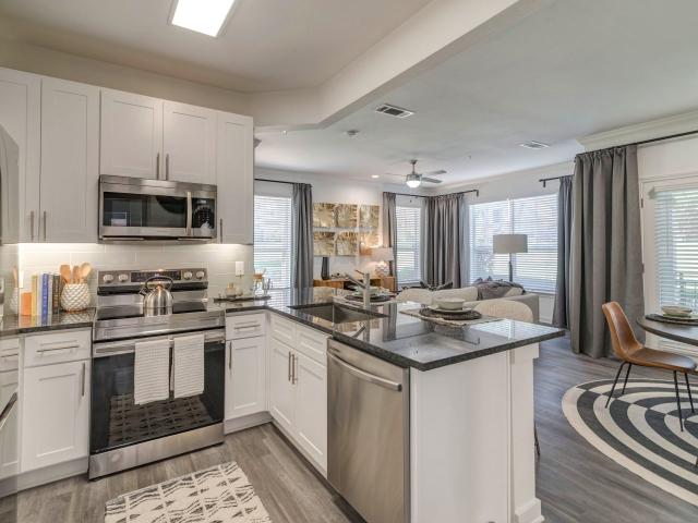 1 BR, 1 BA Apartment 8205 Towne Main Dr Unit 1836, Plano, TX 75024