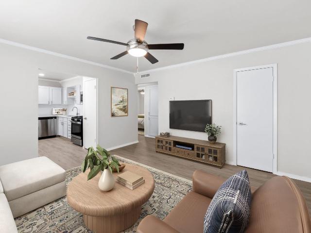 1 BR, 1 BA Apartment 8222 Gault Ln Unit 2603, San Antonio, TX 78209