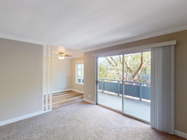1 BR, 1 BA Apartment 829 Las Gallinas Ave, San Rafael, CA 94903