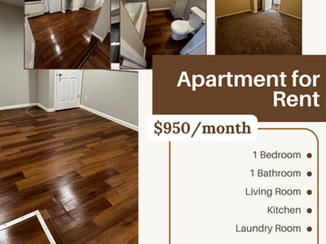 1 BR, 1 BA Apartment 837 W 27th Ave, Unit Unit B, Gary, IN 46407