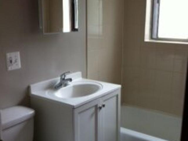 1 BR, 1 BA Apartment 954 E 84th Pl Apt 1E, Chicago, IL 60619