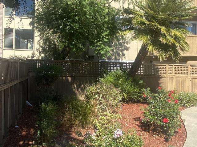 1 BR, 1 BA Apartment 959 Torrano Avenue, Hayward, CA 94542