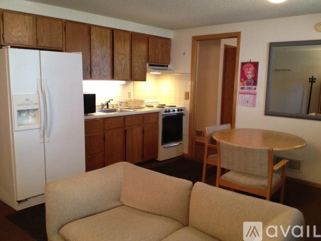 1 BR, 1 BA Apartment 903 Dartmouth Place Southeast, Unit 903 Dartmouth Place SE, Minneapolis, MN USA, Minneapolis, MN 55414