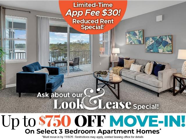 1 BR, 1 BA Apartment 907 Tidewater Ln Unit 341, Winter Springs, FL 32708