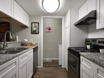 1 BR, 1 BA Apartment 9109 Dartbrook Dr Unit 0607, San Antonio, TX 78240