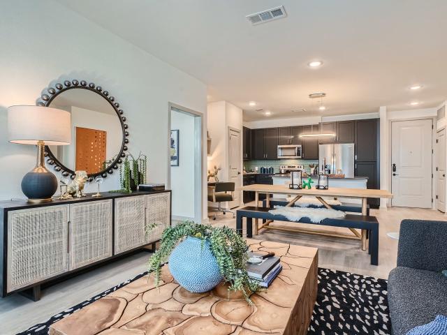 1 BR, 1 BA Apartment 91 Jensen Drive Unit 4109, Houston, TX 77020