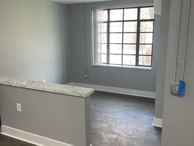1 BR, 1 BA Apartment 931 Covington Dr, Unit 203, Highland Park, MI 48203