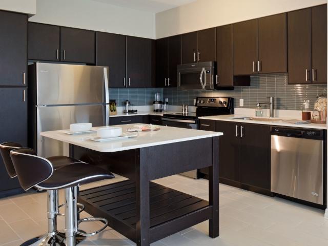 1 BR, 2 BA Apartment 3760 Bird Road Unit 528p, Miami, FL 33146