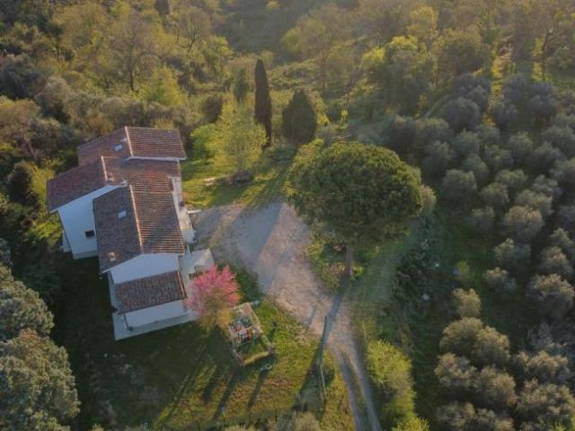 1 camere da letto, Santa Maria a Monte Santa Maria a Monte 56020 104435598