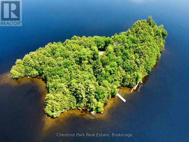 1 Cedar Island, Muskoka Lakes. Wood Muskoka Lakes, ON, P0B 1J0 house for sale | Listing ID X13190 | Royal LePage