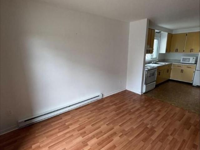 1 CH 1 SDB Sherbrooke $980 /mo