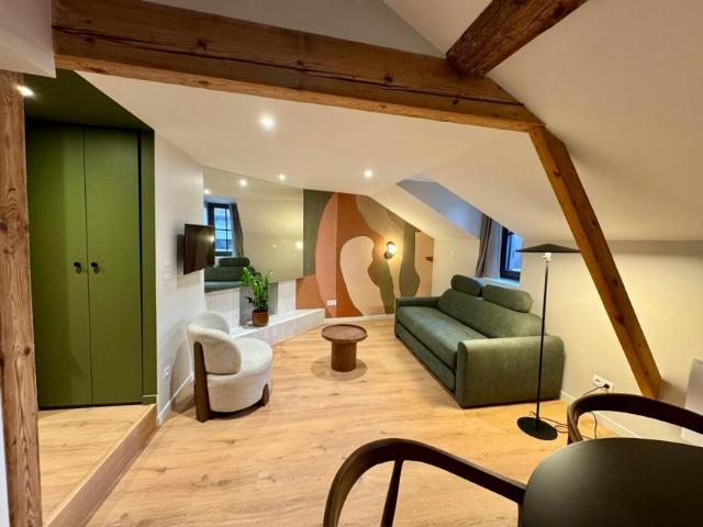 1 chambres, Annecy Annecy 74000 103570758
