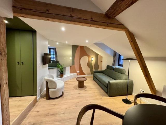 1 chambres, Annecy Annecy 98661716