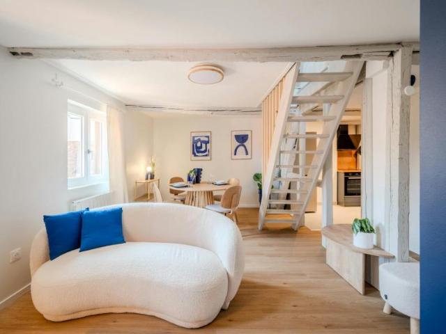 1 chambres, Strasbourg Strasbourg 67000 100991658