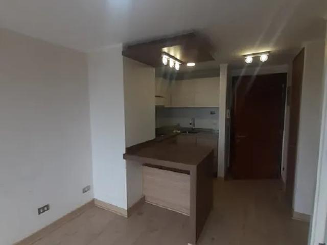 1 dorm central 470.000 g.comun incluido