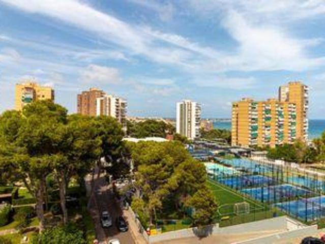 1 Dormitorio Condo Orihuela Costa Costa Blanca 105313107