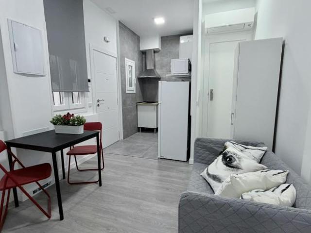 1 Dormitorio Apartamentos Madrid Madrid 104911333