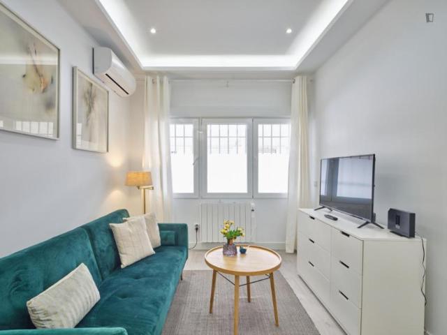 1 Dormitorio Apartamentos Madrid Madrid 104971585