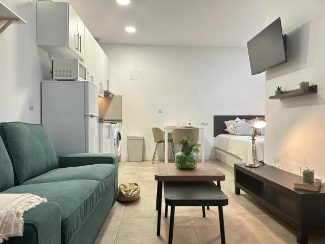 1 Dormitorio Apartamentos Madrid Madrid 105119884